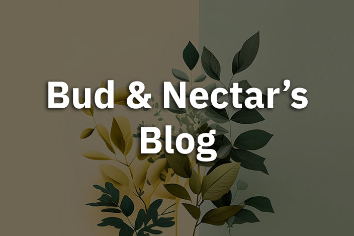 Welcome to Bud and Nectar’s Blog